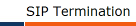 SIP Termination