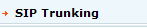 SIP Trunking