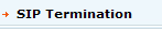 SIP Termination