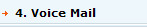 4. Voice Mail