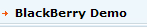 BlackBerry Demo